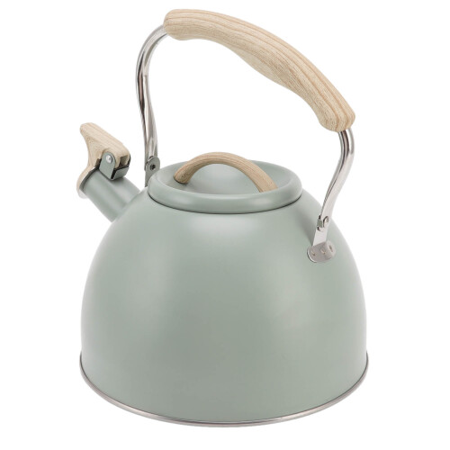 Whistling Teapot 3L Light Green Flat Bottom 1