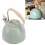 Whistling Teapot 3L Light Green Flat Bottom 12