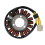 31401-01H21, 31401-01H00 Statore per GSXR750 3