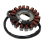 31401-01H21, 31401-01H00 Statore per GSXR750 5