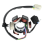 Motorcycle Stator Coil 6 Coil 5 Wire Stator for 50cc 70cc 3