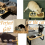 Elevated Cat Bowls
15 Tilted Raised Pet Dishes 7