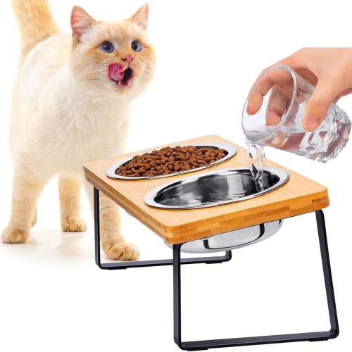 Elevated Cat Bowls
15 Tilted Raised Pet Dishes 2