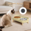 Elevated Cat Bowl
Whisker Fatigue 7