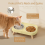 Elevated Cat Bowl
Whisker Fatigue 5