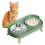 Elevated Cat Bowl
Whisker Fatigue 3