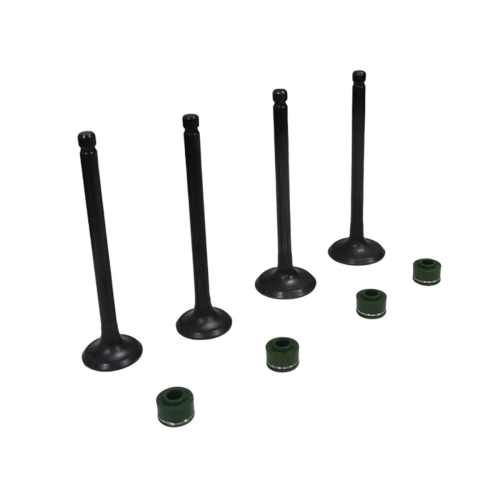 Motorcycle Engine Intake Exhaust Valves Kits for CA250 CMX250 2