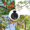 10PCS Plant Rooting Ball Propagation Box Grafting Rooting 4