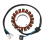 Motorcycle Generator Stator Coil for Boulevard C90 1
