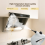 Pressurized Steam Cleaner for Home, EU Plug 2