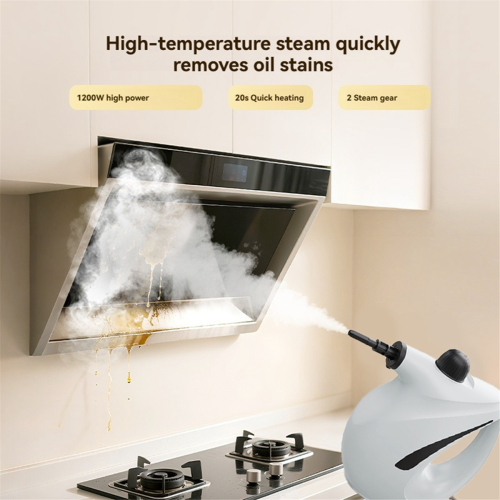 Pressurized Steam Cleaner for Home, EU Plug 1