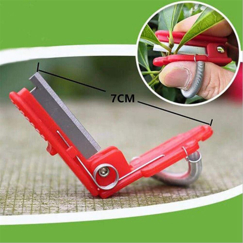 Multifunctional thumb picking tool
Thumb tool for picking tea leaves 2