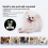 Pet Small Electronic Deodorizer Built-in Deodorizing Chip 5