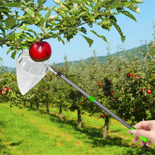 Fruit Picker Pole with Storage Bag Stainless Steel Fruit Picker 2