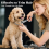 4 in 1 Dog Grooming Scissors Kit 3