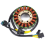 Motorcycle Stator Coil for AN250 Burgman250 1
