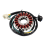 Motorcycle Generator Stator Coil for CBX250 XR250 1