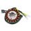 5GM-81410-00-00 Generator-Statorspule für YP250 1