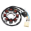 Motorcycle Generator Stator Coil for Accessories 1