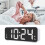 Extra Loud Dual Alarm Clock with Bed Shaker LED 11