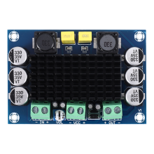 DC 12V-24V TPA3116 D2 100W Mono Channel Cyfrowy wzmacniacz mocy audio do samochodu