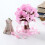 Christmas Paper Tree Magical Growing Tree Toy Xmas 5