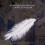 10 stuks witte natuurlijke struisvogel 20-25 cm bruiloft DIY 6