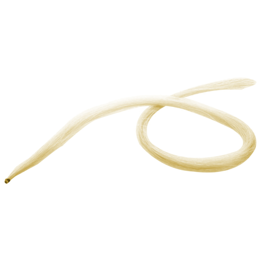 75Cm Violin Bow Natural Hair Horsehair White 4852097292990