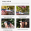 Wine Tester Handheld Refractometer Sugar Content 0-40% Alcohol 0-25% 10
