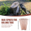 14Pcs Copper Nails Kit to Killing Trees,3.5 Inch Pure Bulk,Stump Removal Spikes Hardware for Trees 5