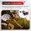 Electric Bike Display 24V-72V Waterproof LCD S966 Controller Panel Dashboard,SM Connector 8