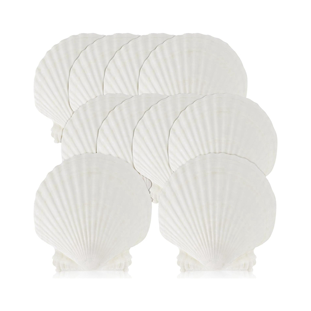 Tauoh White 15 Pcs Natural Sea Shell Large 4-4.7 Inch Scallop Shells For Diy Craft, Serving Food, Baking And More