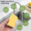 Non-Scratch Cellulose Household Kitchen Sponges, Dishes 5 Packages ,Multi-Use Dish Scrubber for 10
