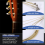 6 Pcs Steel Strings Replacement for Acoustic Guitar New Silver+Brass 5