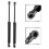 2 pezzi di supporto e ammortizzatori per V50 2005-2011 SG315017 30674718 7