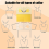 4 in 1 Tshirt-Ruler Guide for Vinyl Alignment Measuring Tool Sewing Calibration Transparent Ruler 8