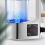 2L Hypochlorous Acid Water Disinfectant Machine Maker Sodium Generator EU Plug 3