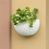 White Wall Planter Wall-Mounted Semi-Circular Fence with Drain and Hooks 6
