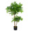 Leaf 100cm Luxury Artificial Mini Ruscus Tree - Premium Range 1