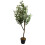 Leaf 120cm Artificial Natural Look Olive Tree with Wooden Trunk 1