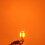 2 pcs LED bulb BAW9S, HY21W 12V CANBUS orange 5
