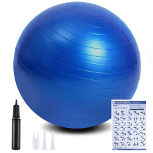 flintronic Exercise Ball, Anti-brust Yoga Ball Fitness Balls, 65cm Ext