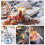 SUPRUS Electric Arc Windproof Flameless USB Rechargeable Lighter with 4