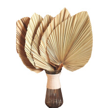 pezzi da 18 pollici di foglie tropicali di palma tagliate naturali, ventagli per decorazioni da matrimonio boho, decorazioni hawaiane