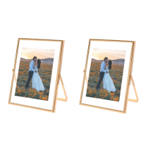 4X6 Picture Frame Set of 2, for Multiple Photo Sizes (4X6, 3X5, 2X3), Metal Glass Floating