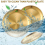 Stainless Steel Round Plate Camping Dishes Rust-Proof Stackable Food Serving 30cm 4