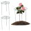Supporto per peonie, gabbia di supporto, supporto per piante adatto per rose e orchidee 2