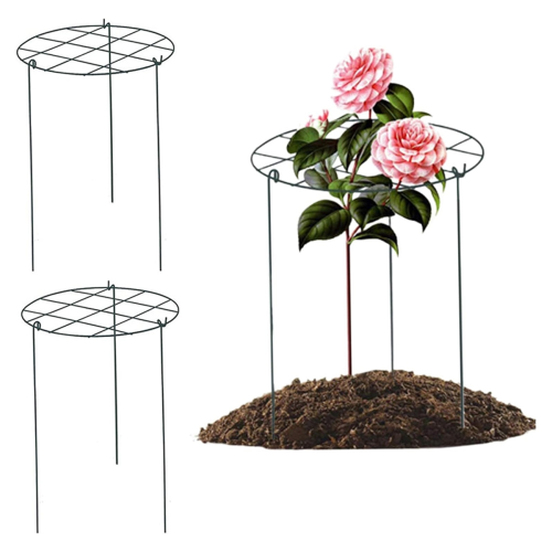 Supporto per peonie, gabbia di supporto, supporto per piante adatto per rose e orchidee 1