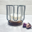 Coffee Filter Holder Basket Container Storage Rack Pod for Travel Countertop Kitchen Decor,B 5