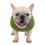 (S, green) Soft Windproof Small Dog Coat 2
